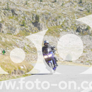 thumb_Lombarda-120