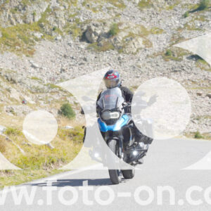 thumb_Lombarda-131