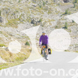 thumb_Lombarda-136