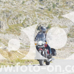 thumb_Lombarda-140