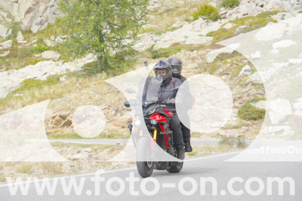 <h1 class="product-title">thumb_Lombarda-185</h1>