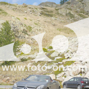 thumb_Lombarda-194