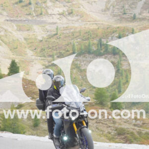 thumb_Lombarda-195