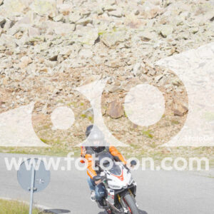 thumb_Lombarda-221