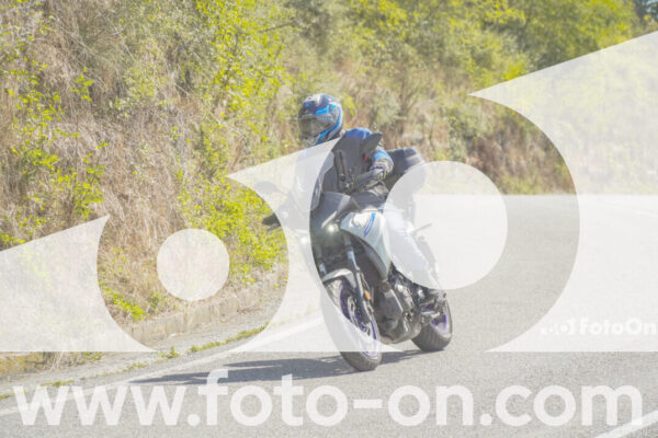 <h1 class="product-title">thumb_FF102394</h1>