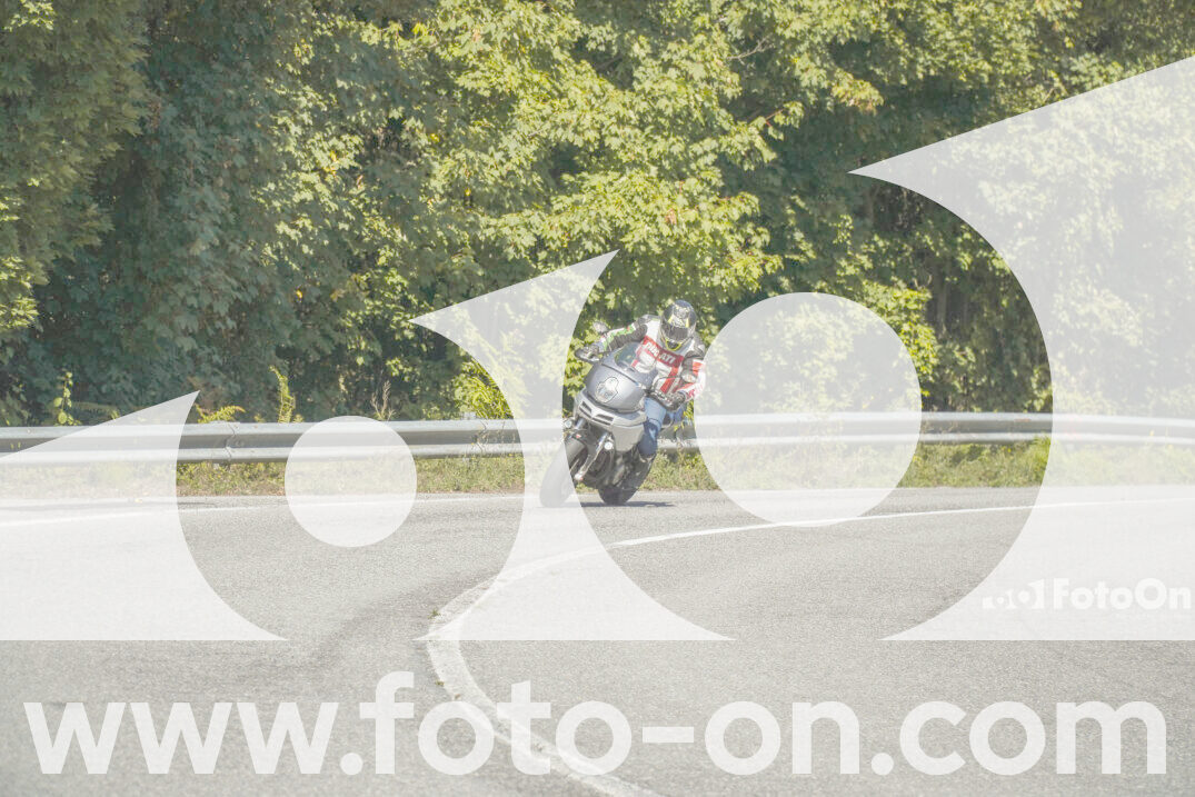 thumb_FF102398
