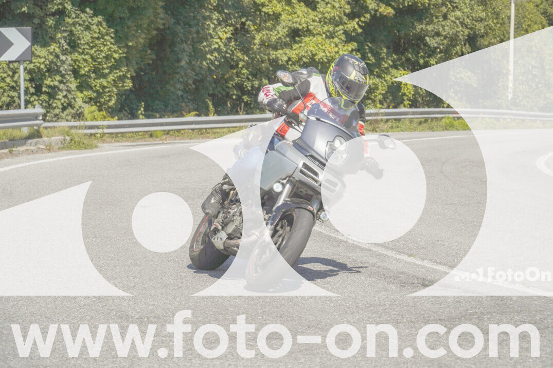 thumb_FF102399