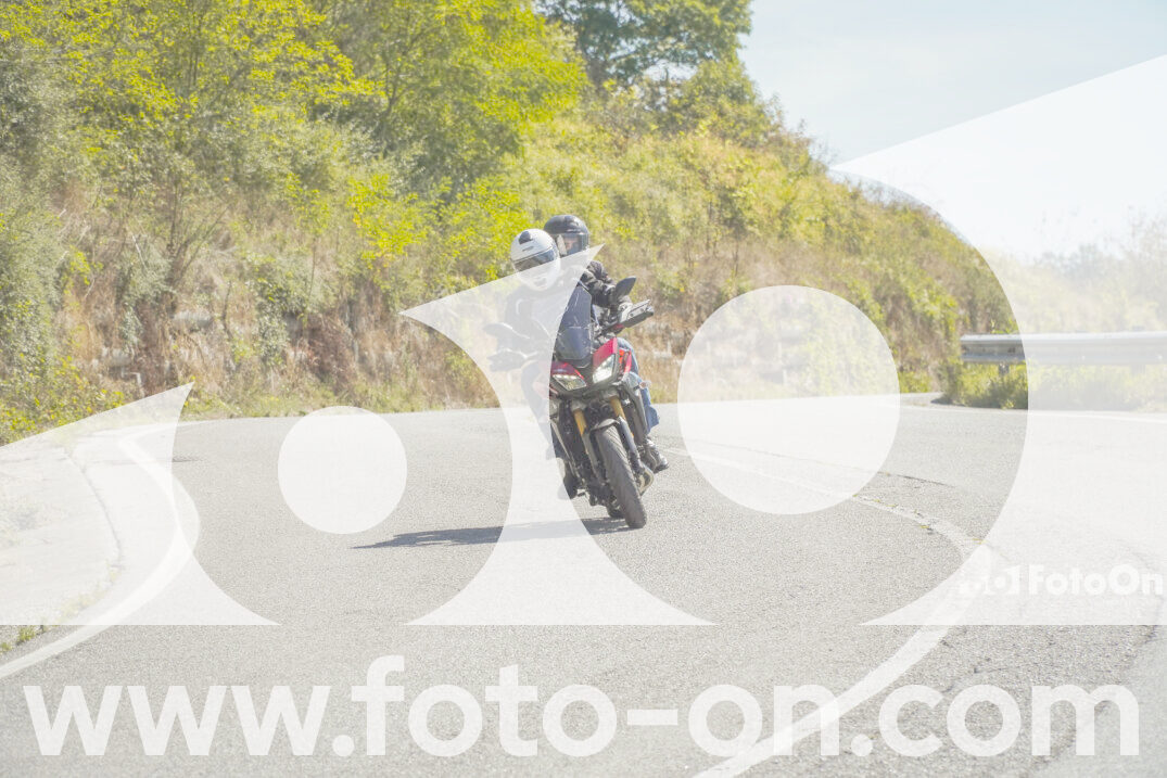thumb_FF102401