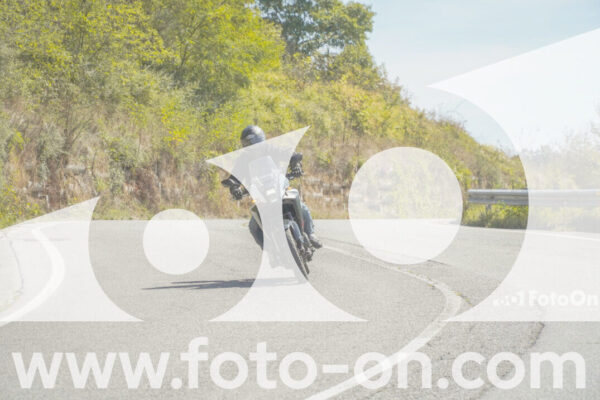 <h1 class="product-title">thumb_FF102448</h1>