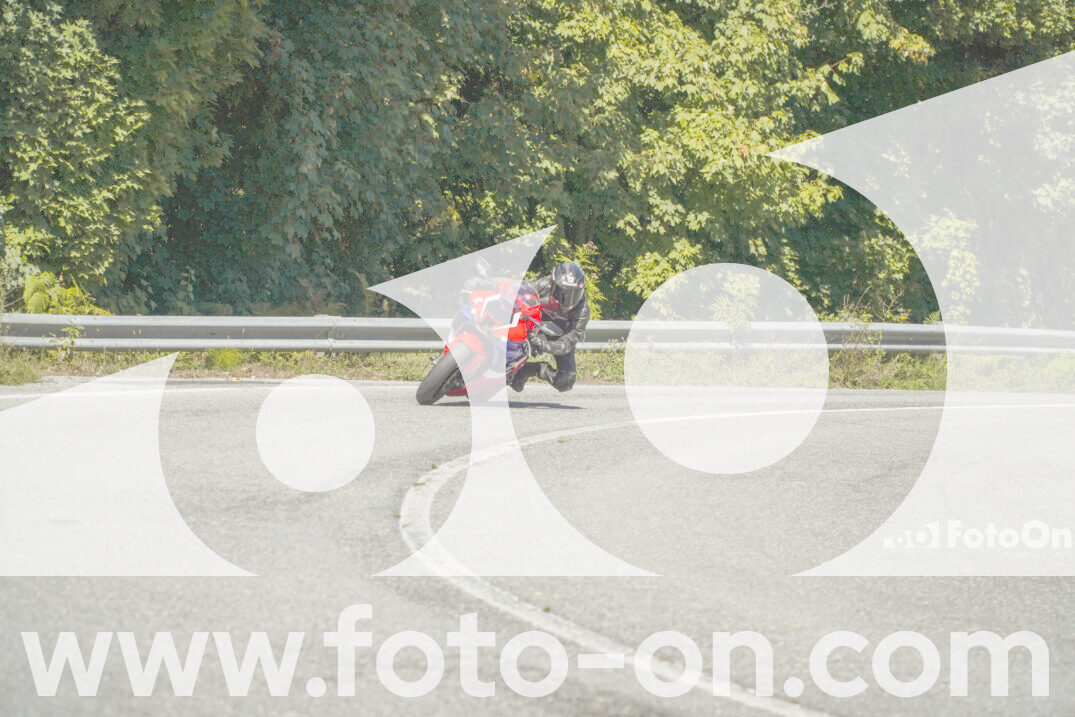 thumb_FF102463