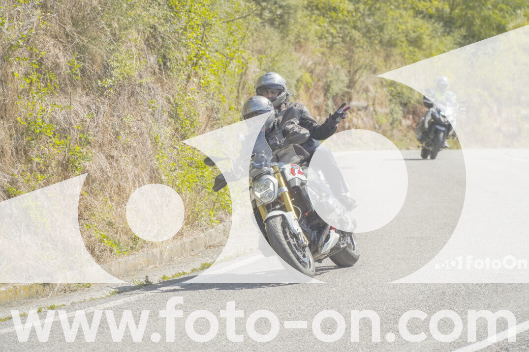 thumb_FF102468