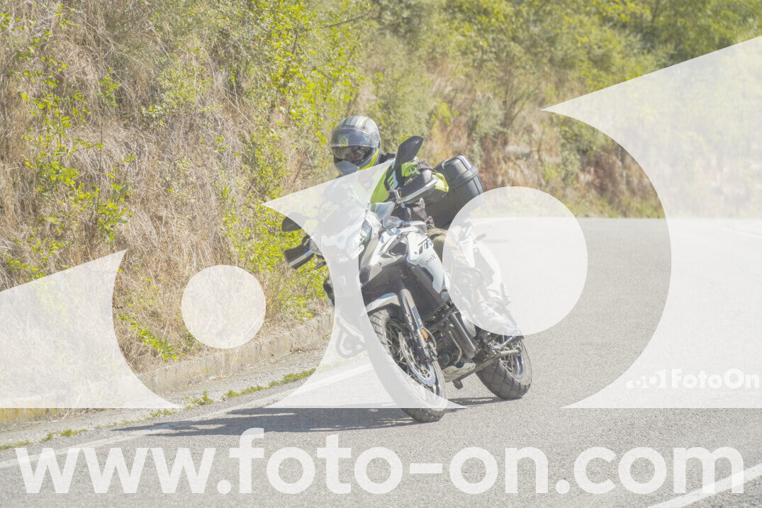 thumb_FF102469