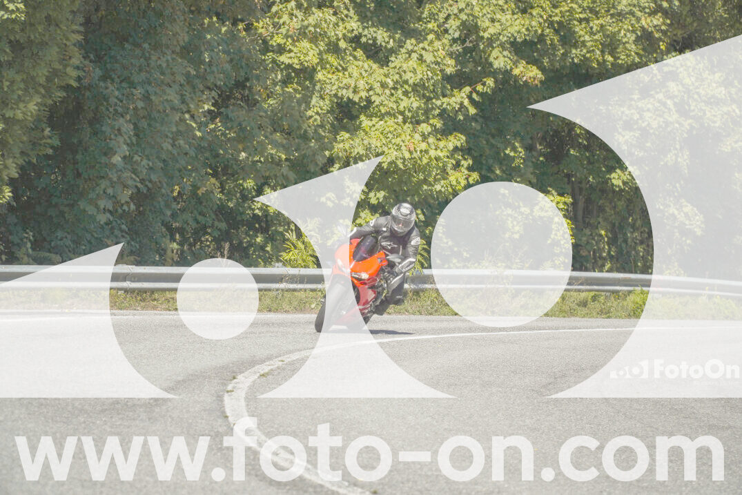 thumb_FF102470