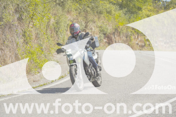 <h1 class="product-title">thumb_FF102504</h1>
