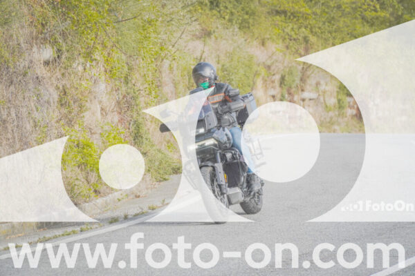 <h1 class="product-title">thumb_FF103537</h1>