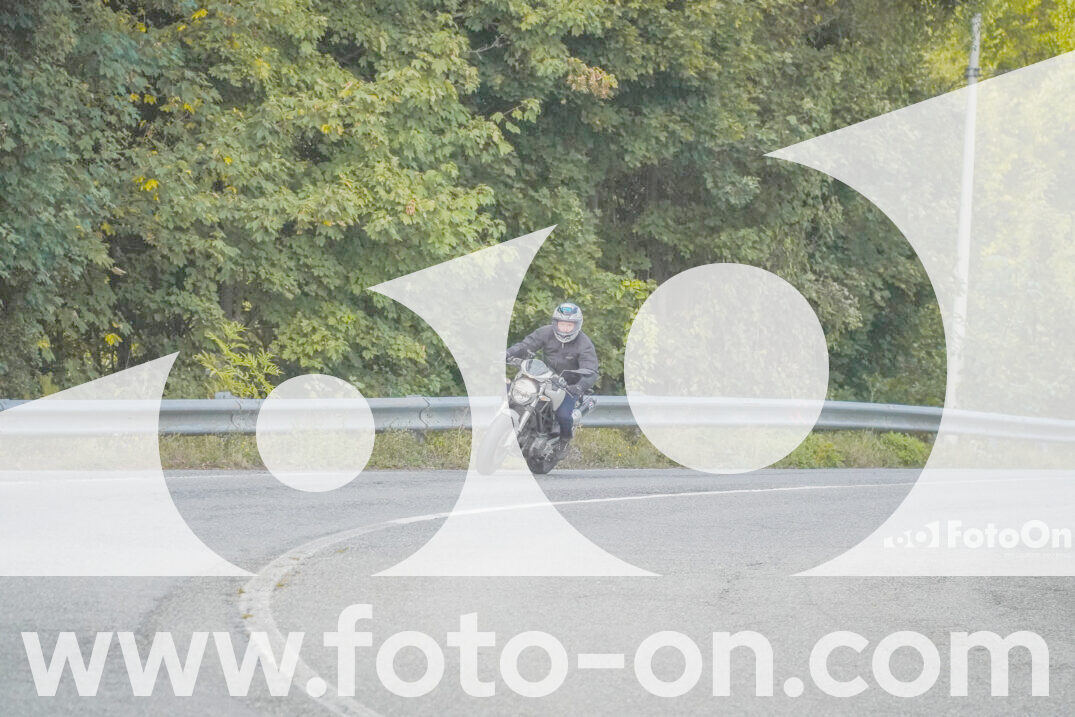 thumb_FF103643