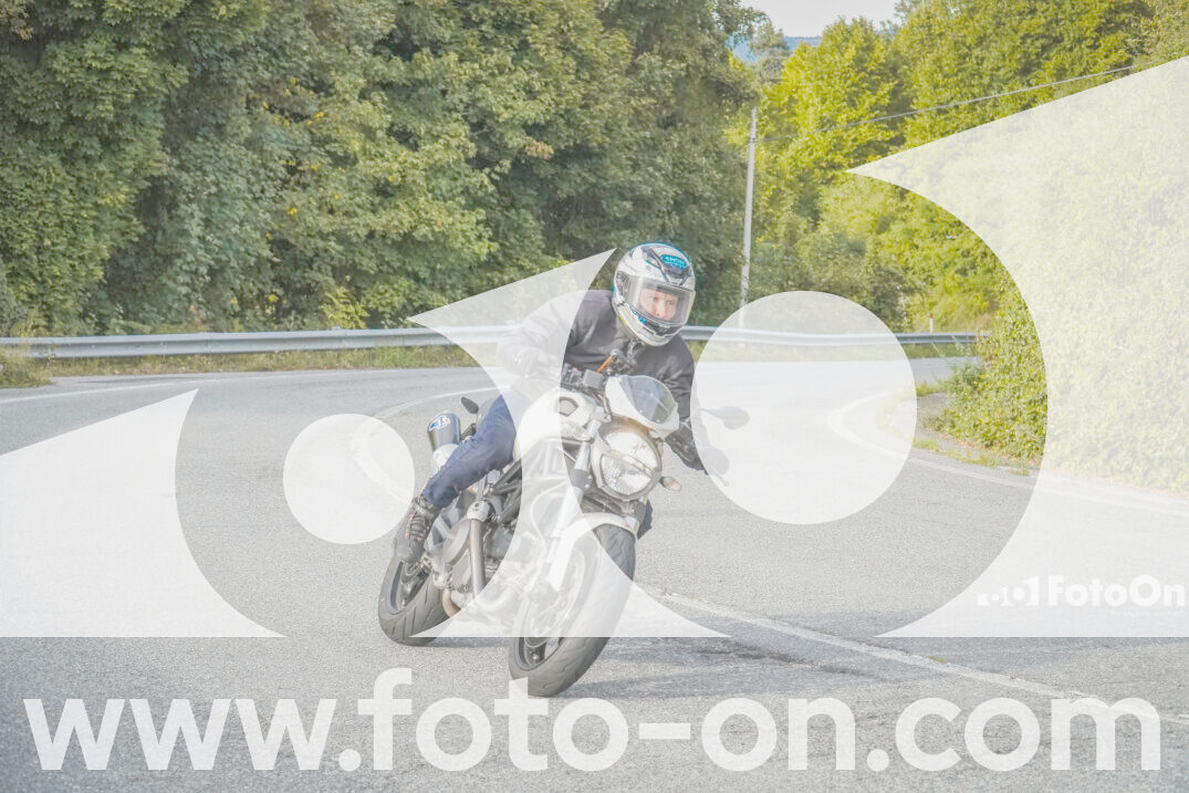thumb_FF103644