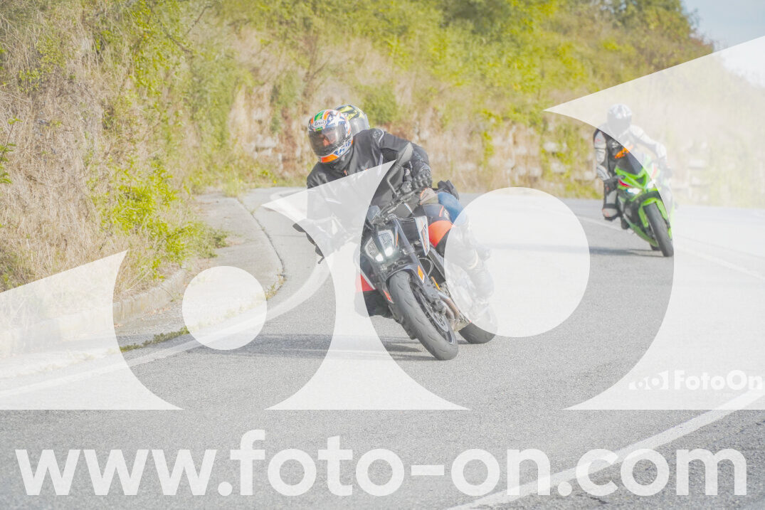 thumb_FF103646