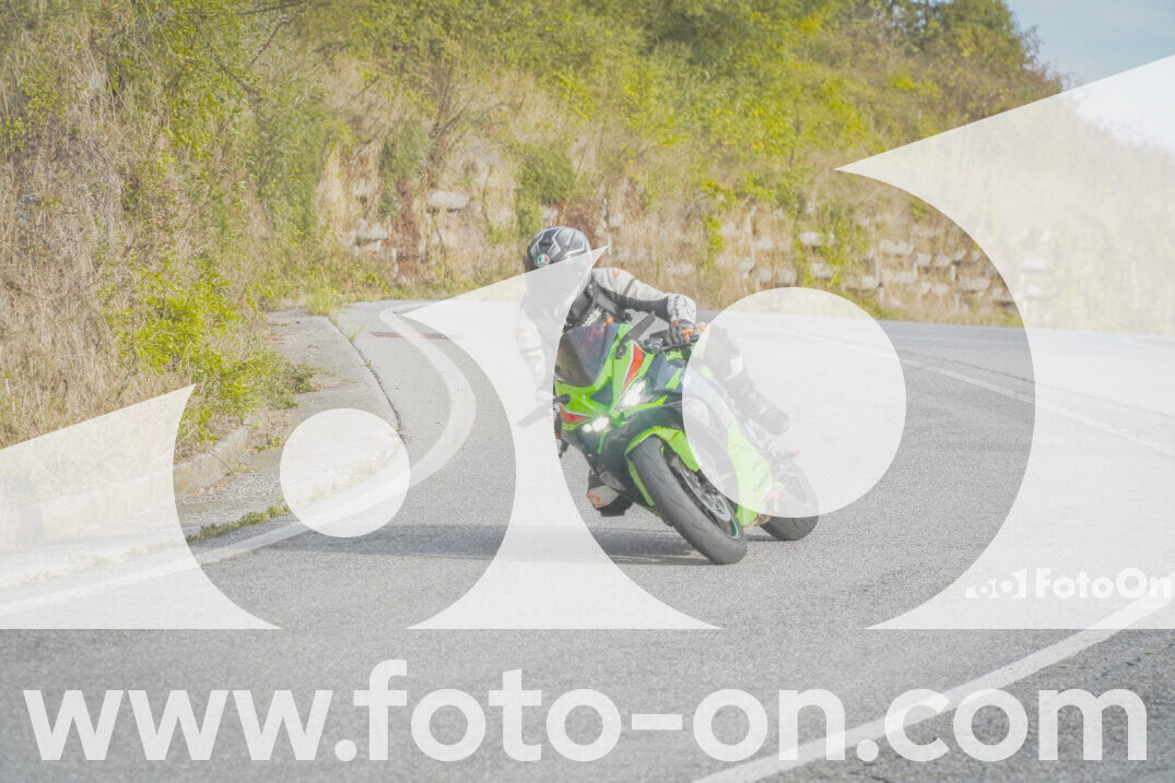 thumb_FF103647