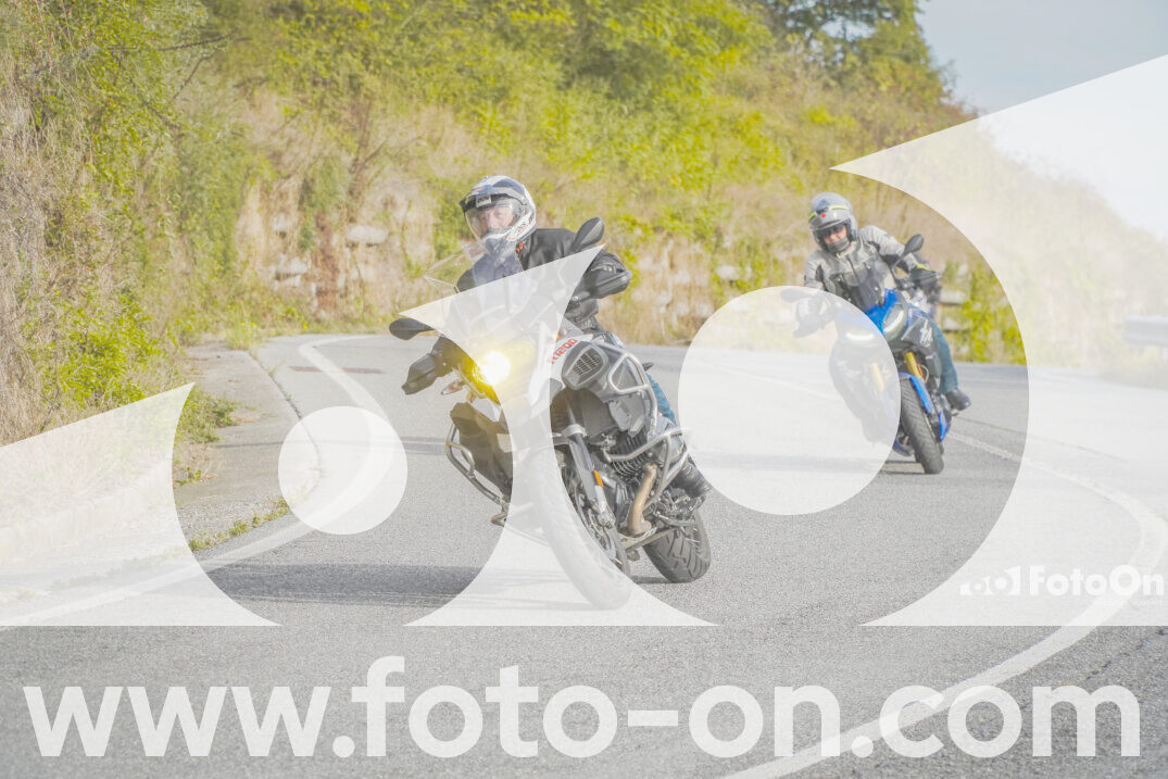 thumb_FF103648