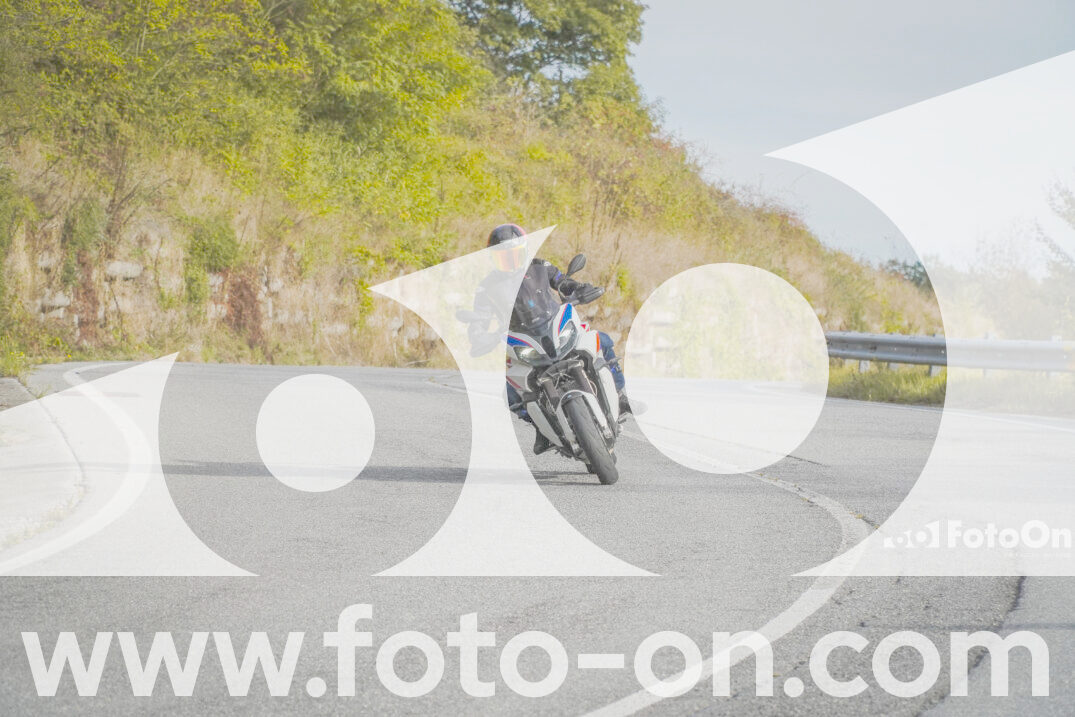 thumb_FF103650
