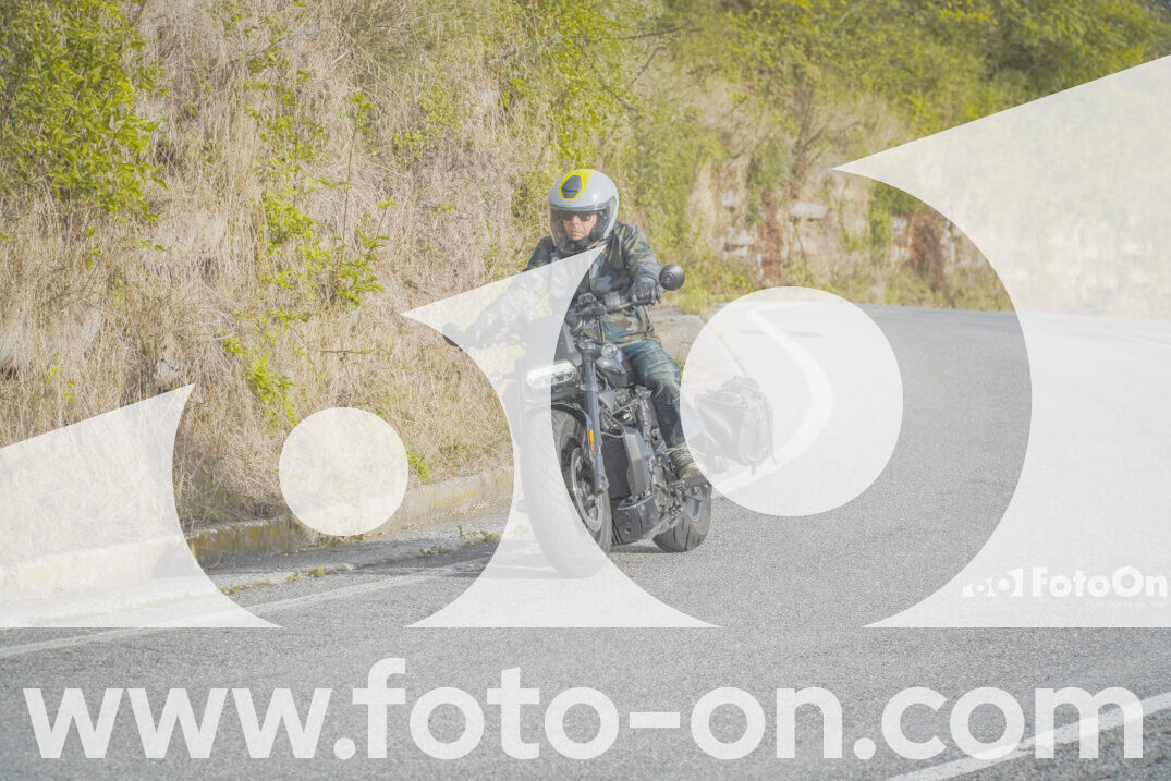 thumb_FF103652