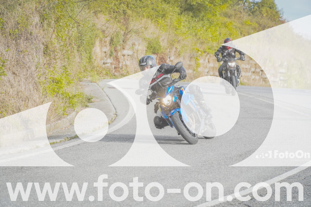 thumb_FF103653