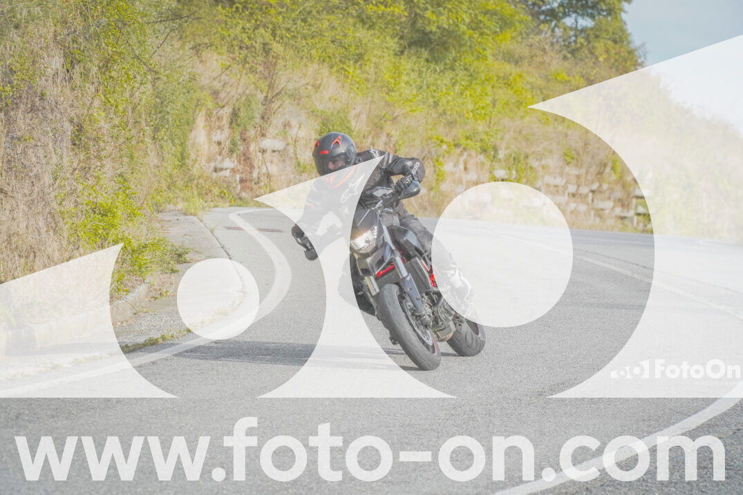 thumb_FF103654