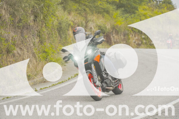 <h1 class="product-title">thumb_FF103802</h1>