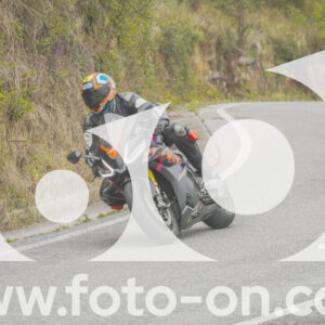 thumb_FF103866