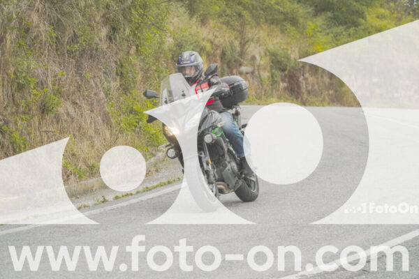 <h1 class="product-title">thumb_FF103874</h1>