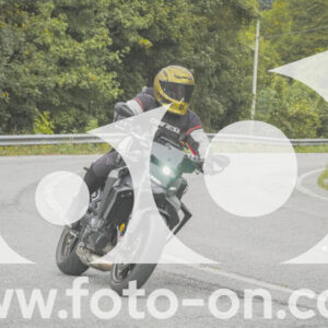 thumb_FF103906