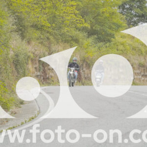 thumb_FF103907