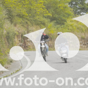 thumb_FF103909