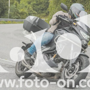 thumb_FF103914