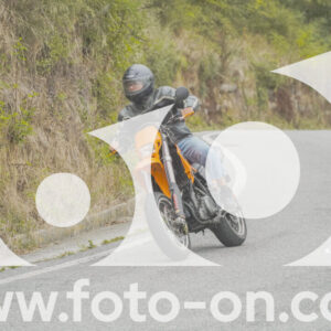 thumb_FF103919