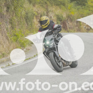 thumb_FF103954