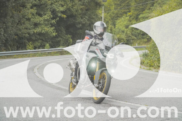 <h1 class="product-title">thumb_FF103955</h1>
