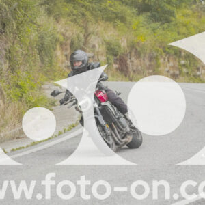 thumb_FF103956