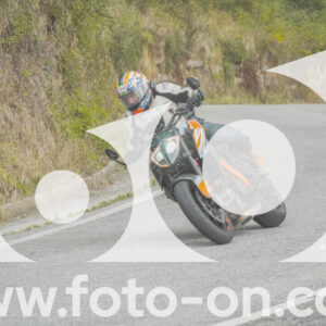 thumb_FF103960