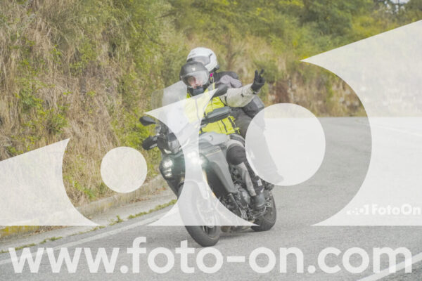 <h1 class="product-title">thumb_FF103977</h1>