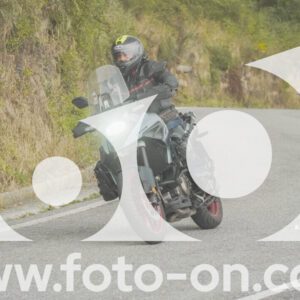 thumb_FF103996