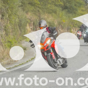 thumb_FF104007