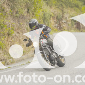 thumb_FF104079