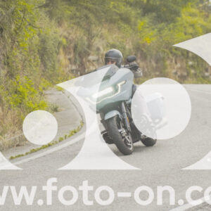 thumb_FF104085