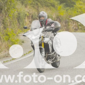 thumb_FF104096