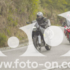 thumb_FF104162