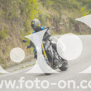 thumb_FF104167