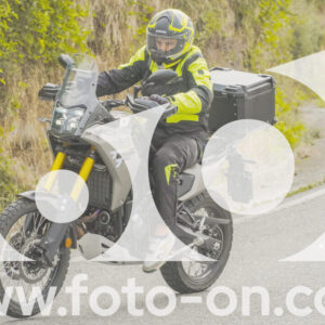 thumb_FF104174