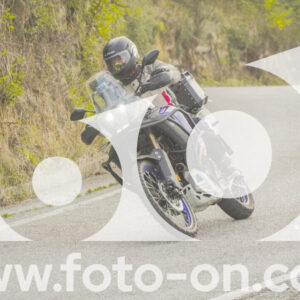 thumb_FF104210